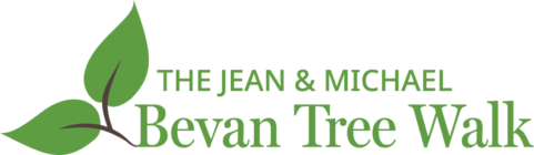 Bevan Tree Walk logo