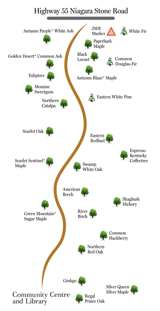 Map of the Bevan Tree walk